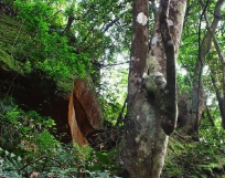 赤水丹霞旅游區·燕子巖